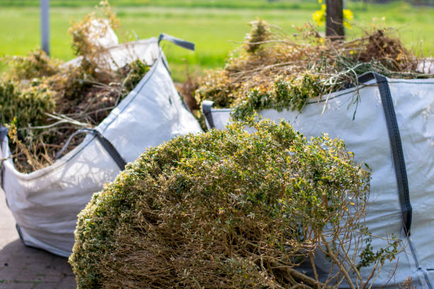 Best Construction Debris Removal  in Moraga, CA